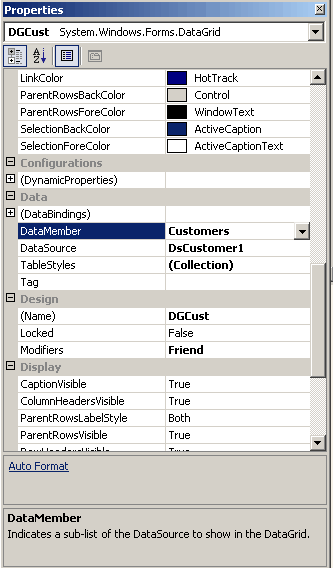 DataGrid properties