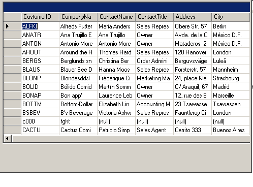 Data Grid Output